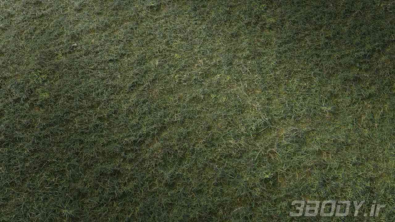 متریال چمن وحشی wild grass عکس 1